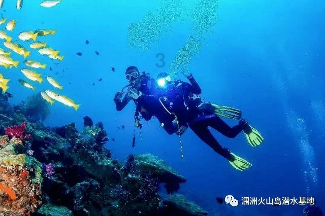 逃离废弃的卡车场